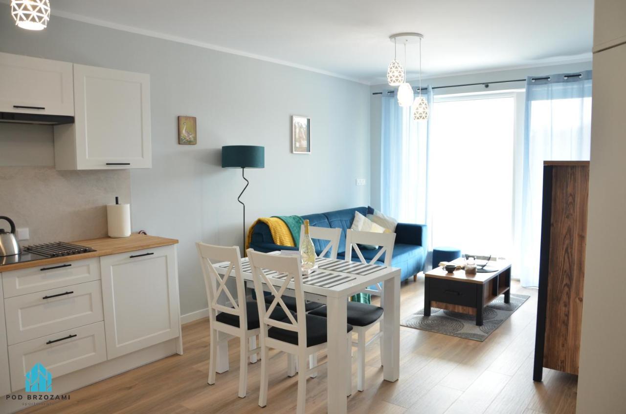 Apartment Pod Brzozami *