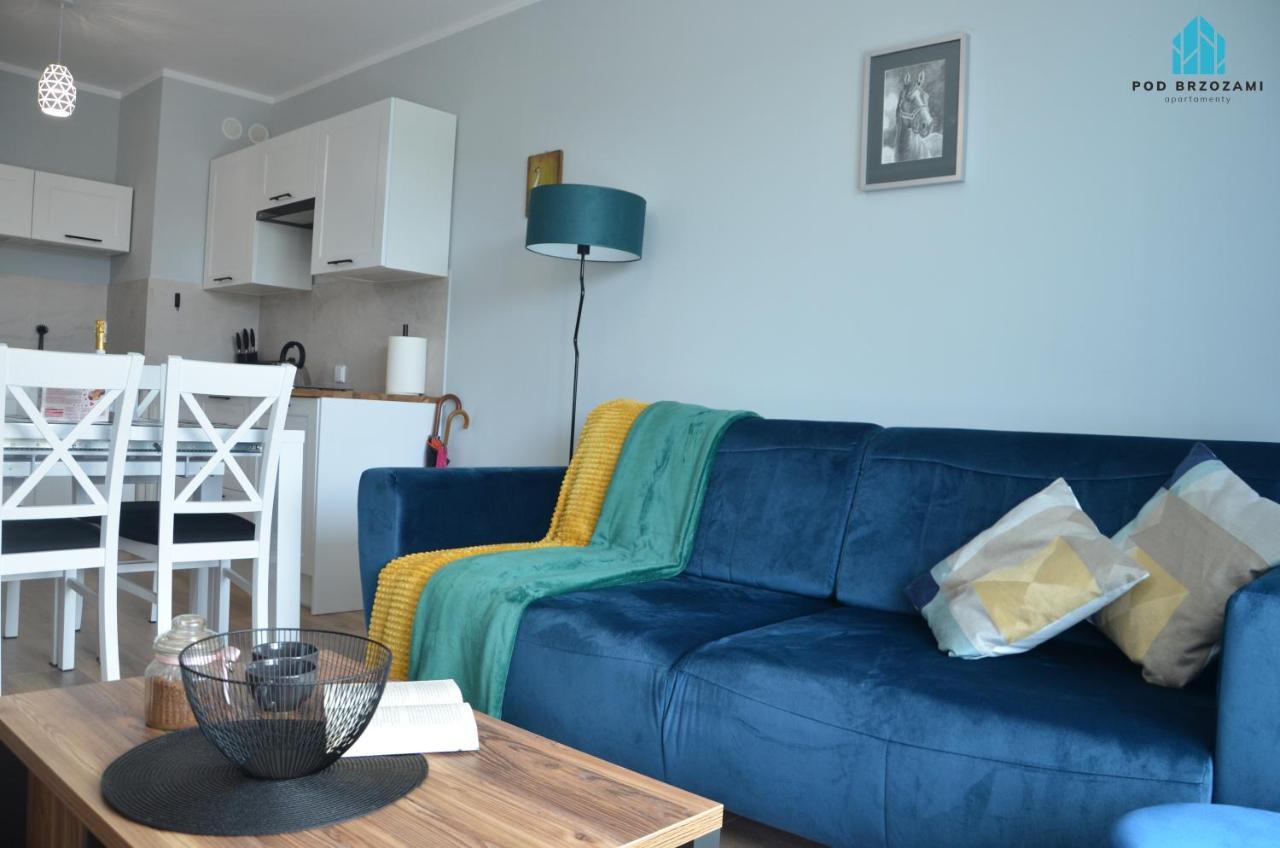 Apartment Pod Brzozami