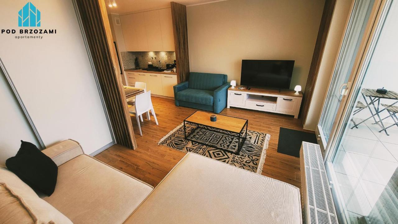Apartment Pod Brzozami