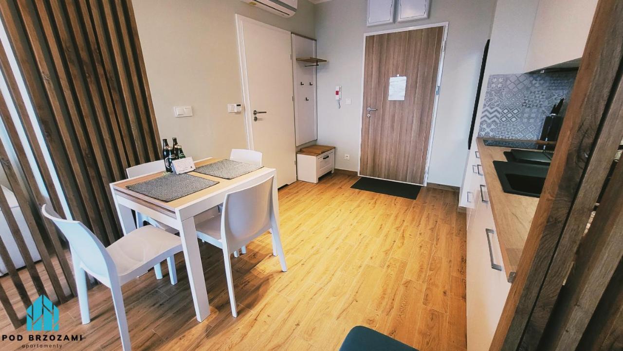 Pod Brzozami Apartment
