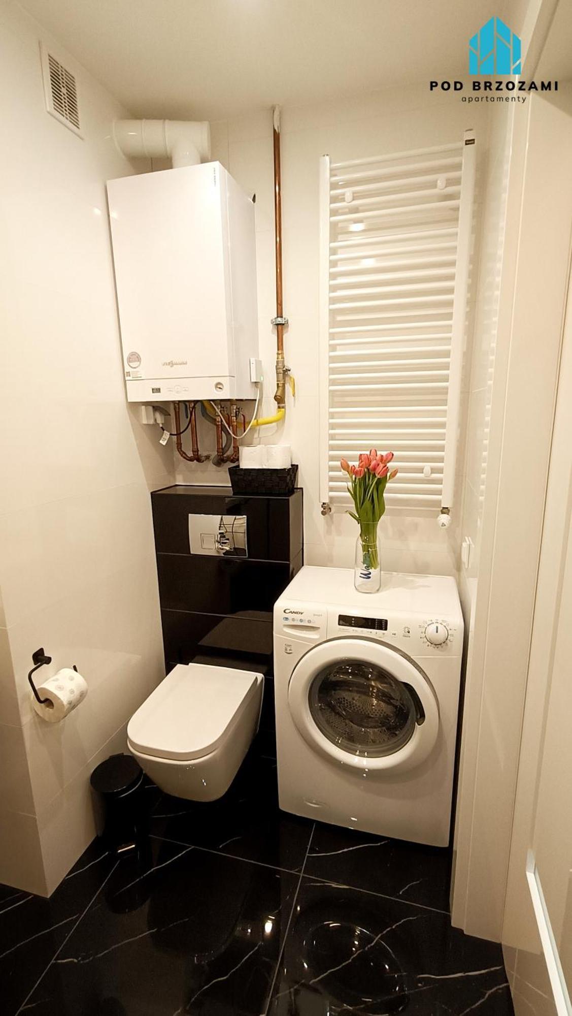 Pod Brzozami Apartment *