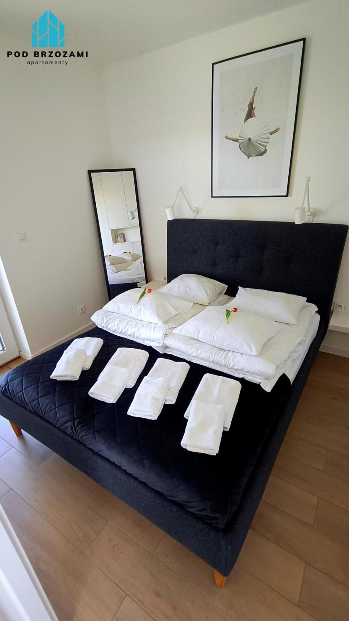 Pod Brzozami Apartment